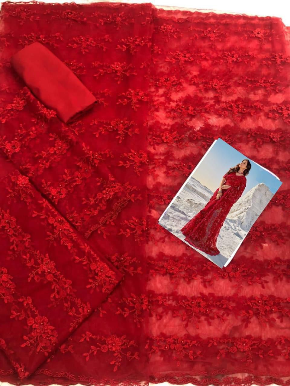 ✨ Ethereal Net Saree with 3D Floral Embroidery ✨